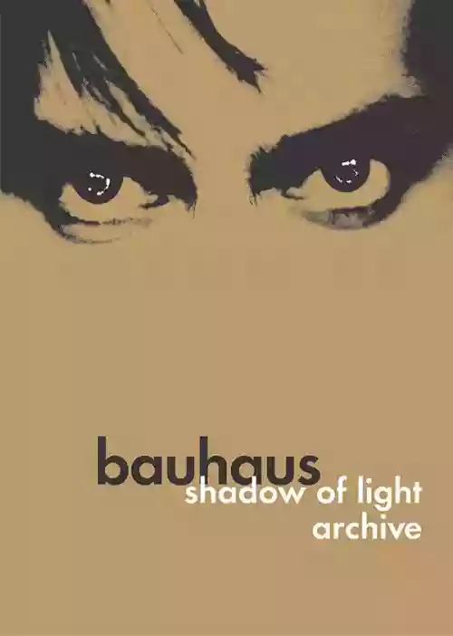 Cover di Shadow Of Light • Archive