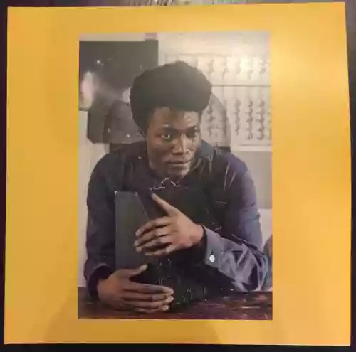 Cover di I Tell A Fly