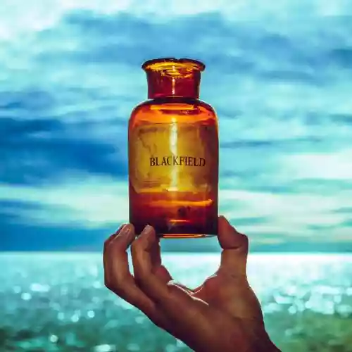 Cover Blackfield - V