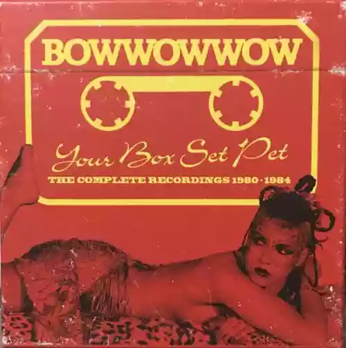 Cover di Your Box Set Pet (The Complete Recordings 1980-1984)