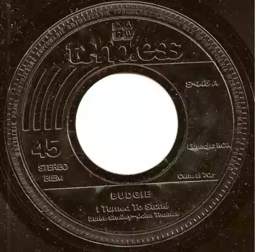 Cover Budgie - I Turned To Stone / She Used Me Up