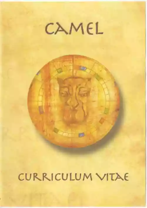 Cover Camel - Curriculum Vitae