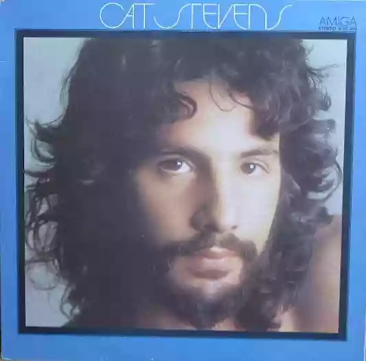 Cat Stevens: Cat Stevens