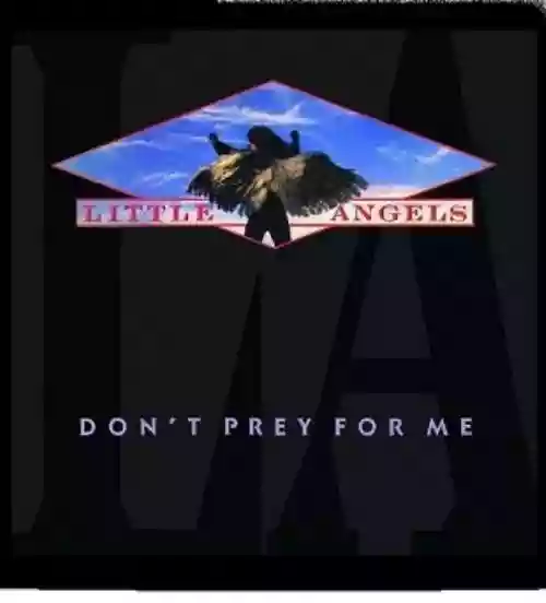 Cover di Don't Prey For Me