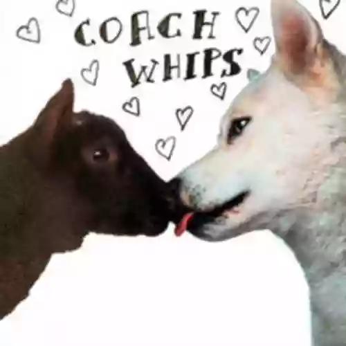 Cover Coachwhips - Bangers Vs. Fuckers