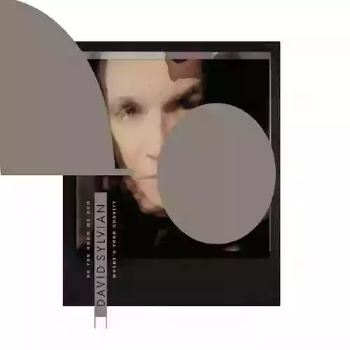 Cover David Sylvian - Do You Know Me Now?