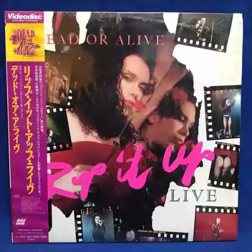 Cover Dead or Alive -  Rip It Up Live