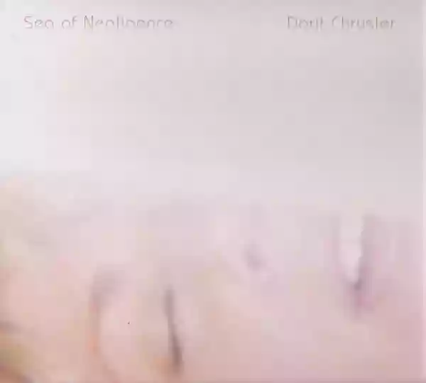 Dorit Chrysler: Sea Of Negligence