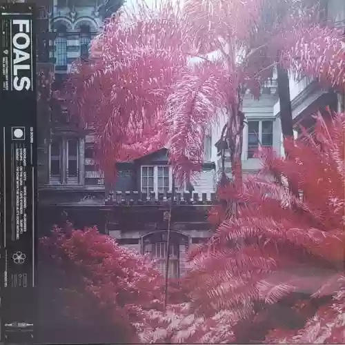 Cover Foals - Everything Not Saved Will Be Lost: Part 1