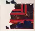 <b>Grizzly Bear</b> • Painted Ruins