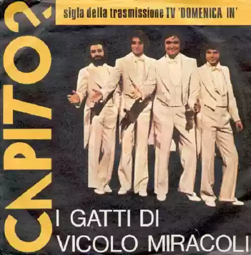 Cover I gatti di vicolo Miracoli - Capito?