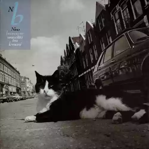 Cover di Una Città Tra Le Mani