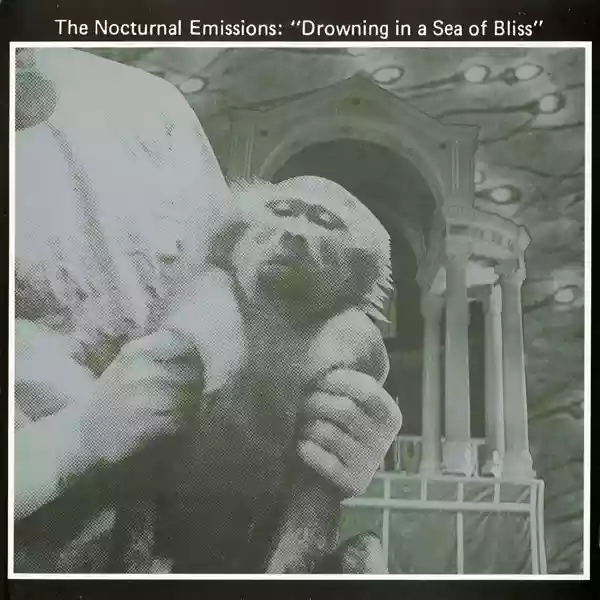 Cover di Drowning In A Sea Of Bliss (Anthems Of The Meat Generation)