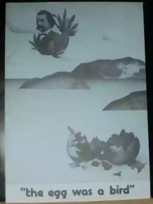 Cover Peter Gabriel - The Egg Was A Bird