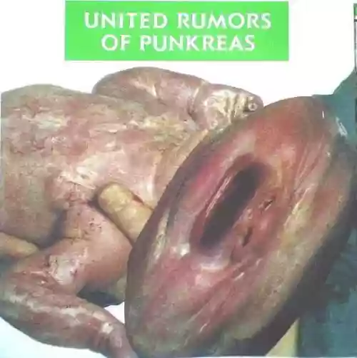 Cover di United Rumors Of Punkreas