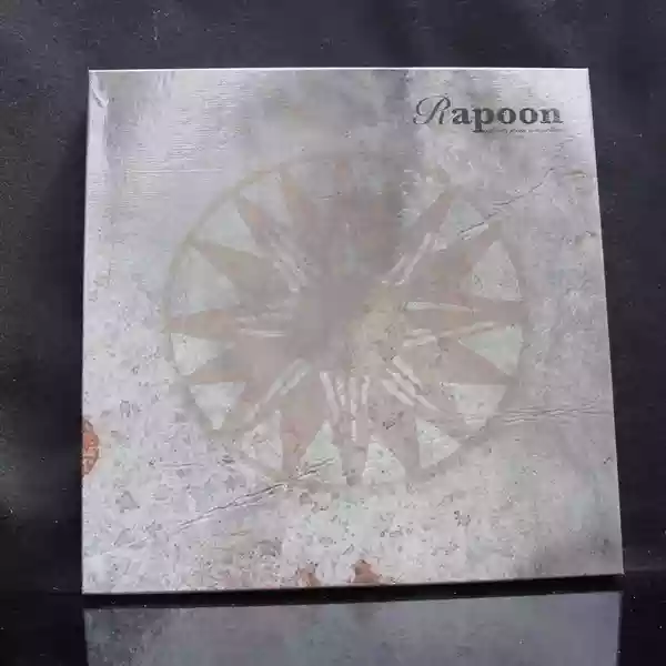 Cover di Ghosts From A Machine