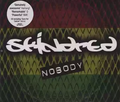Cover Skindred - Nobody