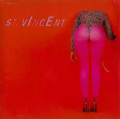 Cover St. Vincent - Masseduction