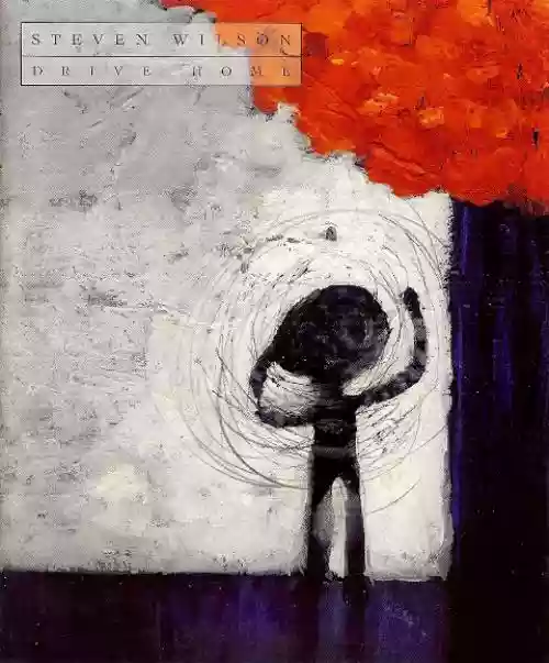 Cover Steven Wilson - Drive Home