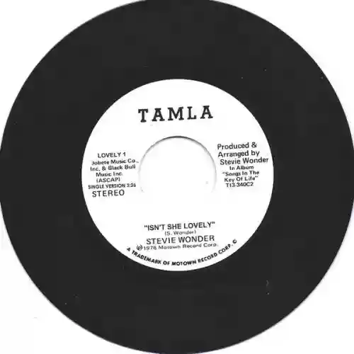 Cover Stevie Wonder - Isn't She Lovely