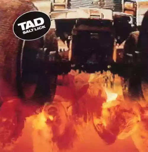 Cover Tad - Salt Lick / God's Balls
