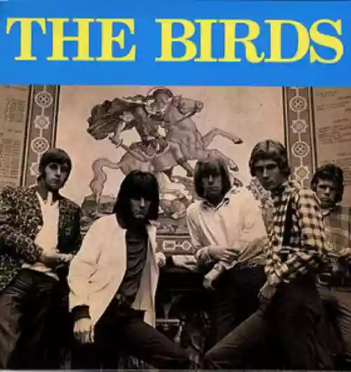 Cover The Birds - The Birds
