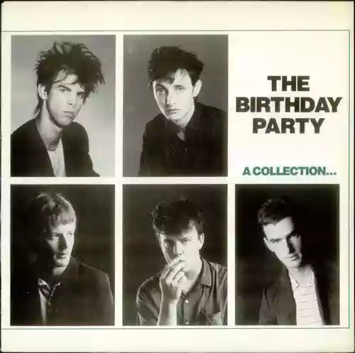 Cover The Birthday Party - A Collection...