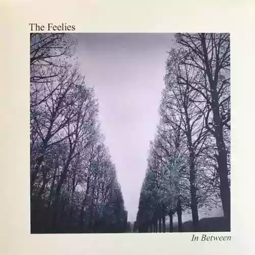 Cover The Feelies - In Between 