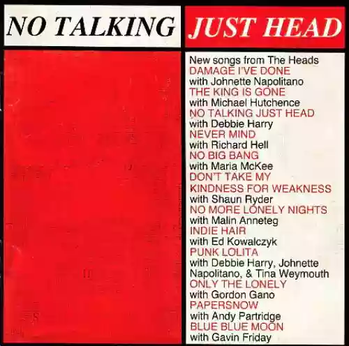 Cover The Heads - No Talking Just Head