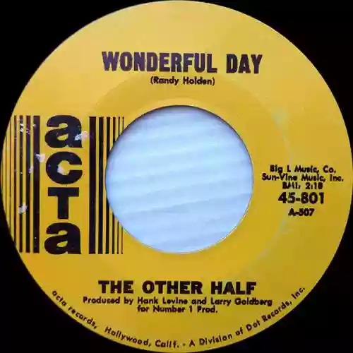 Cover The Other Half - Wonderful Day