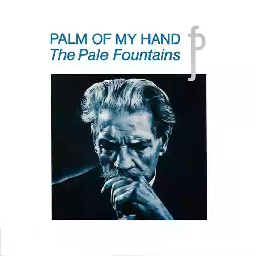 Cover The Pale Fountains - Palm Of My Hand
