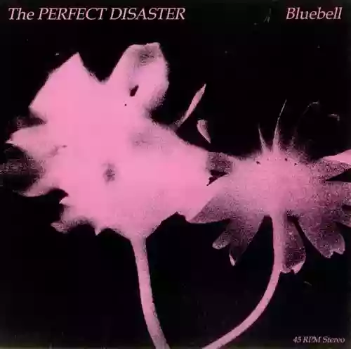 Cover The Perfect Disaster - Bluebell