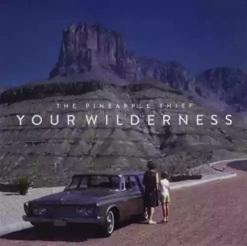Cover The Pineapple Thief - Your Wilderness