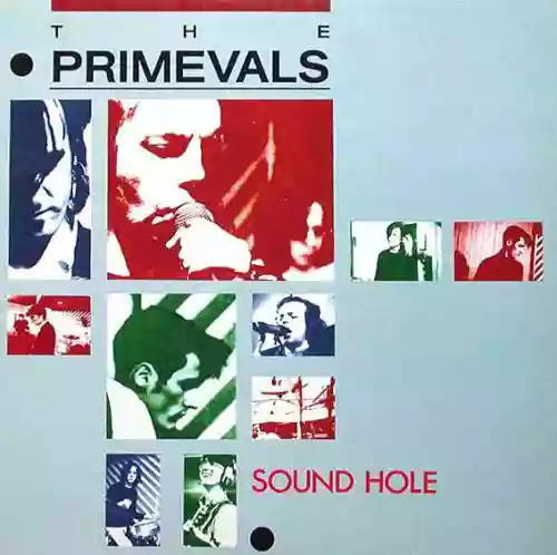 Cover The Primevals - Sound Hole