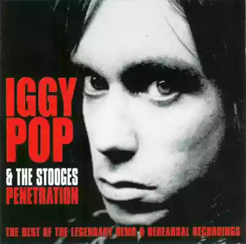 Cover The Stooges - Penetration