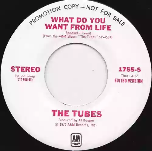 Cover di What Do You Want From Life