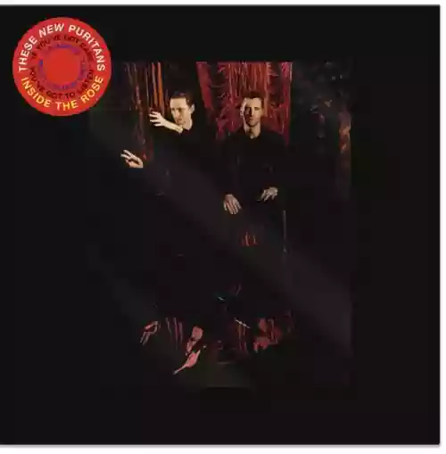 Cover di Inside The Rose