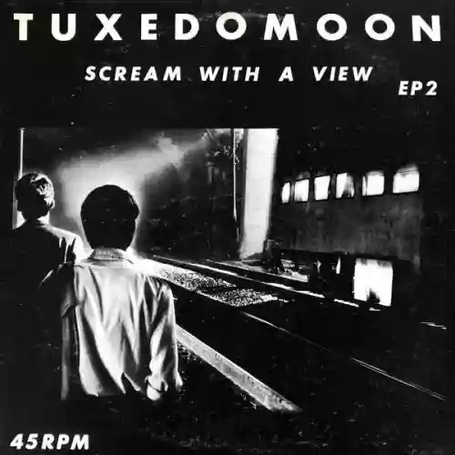 Cover di Scream With A View - EP2