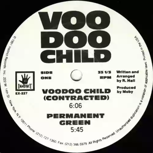 Cover Voodoo Child - Voodoo Child