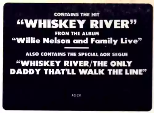 Cover Willie Nelson - Whiskey River
