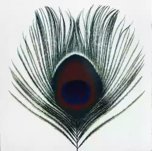 Cover XTC - Apple Venus Volume 1