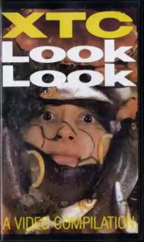 Cover XTC - Look Look