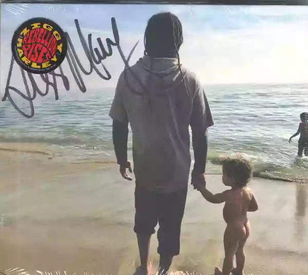 Ziggy Marley: Rebellion Rises