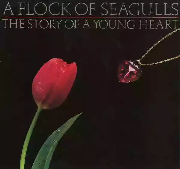 A Flock of Seagulls: The Story of a Young Heart