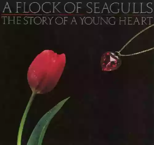 Cover A Flock of Seagulls - The Story of a Young Heart