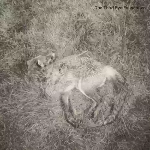 Cover The Third Eye Foundation - Semtex