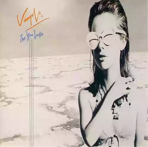 Cover Vangelis - See You Later