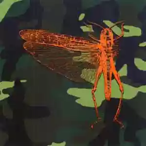 The Locust: Well I'll be a Monkey's Uncle