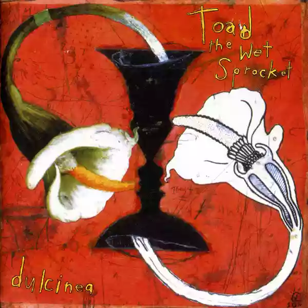 toad the wet sprocket: dulcinea