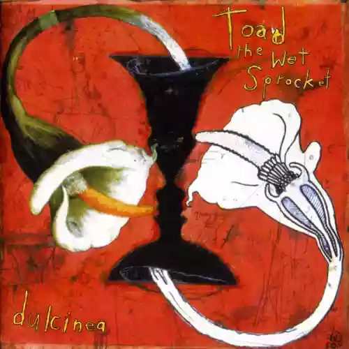 Cover Toad the Wet Sprocket - Dulcinea